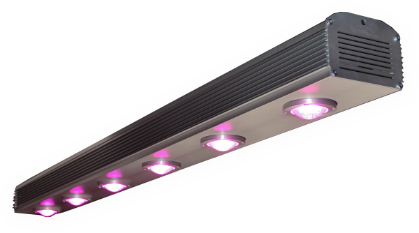 Lampa 7