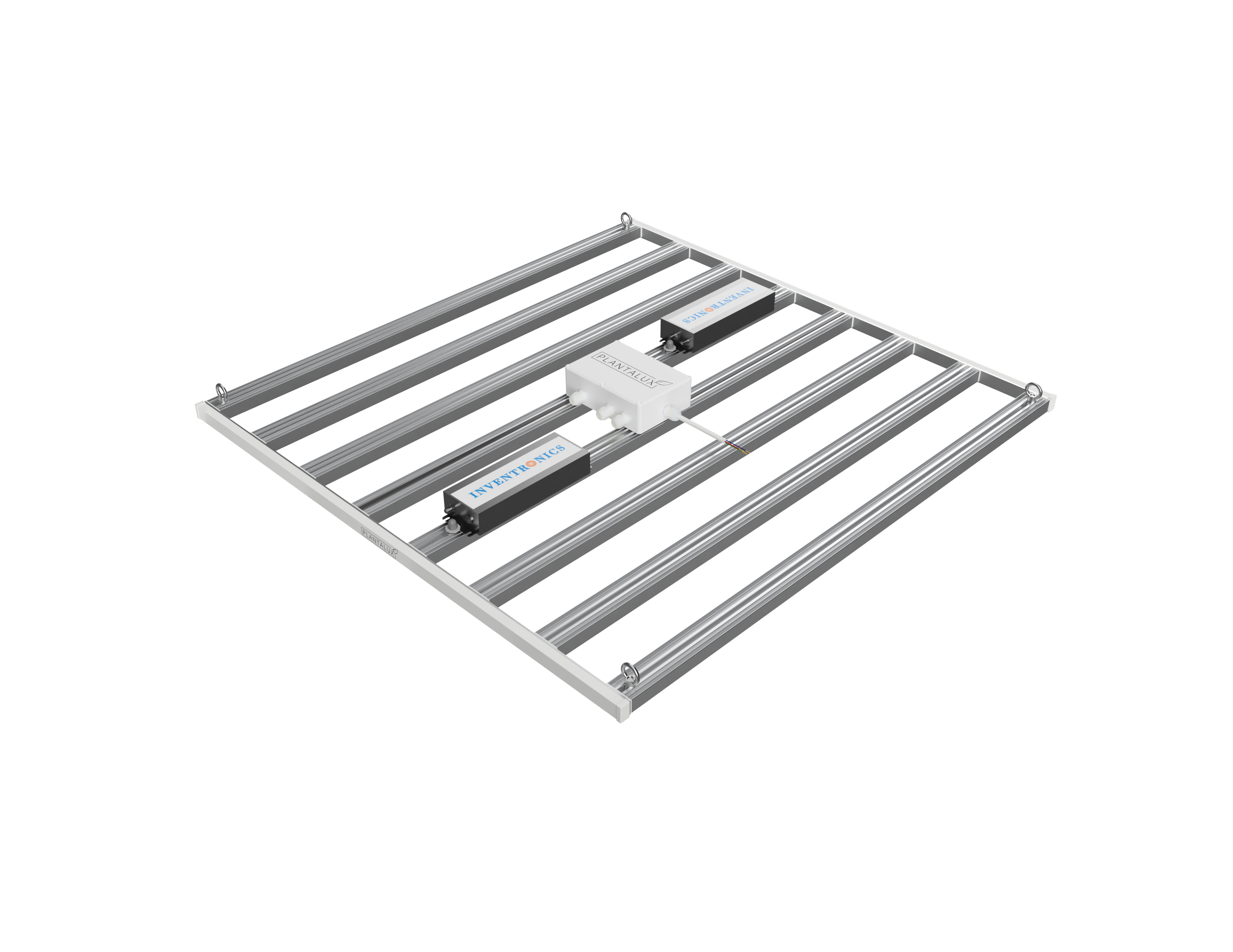 PLANTALUX SX Render 1