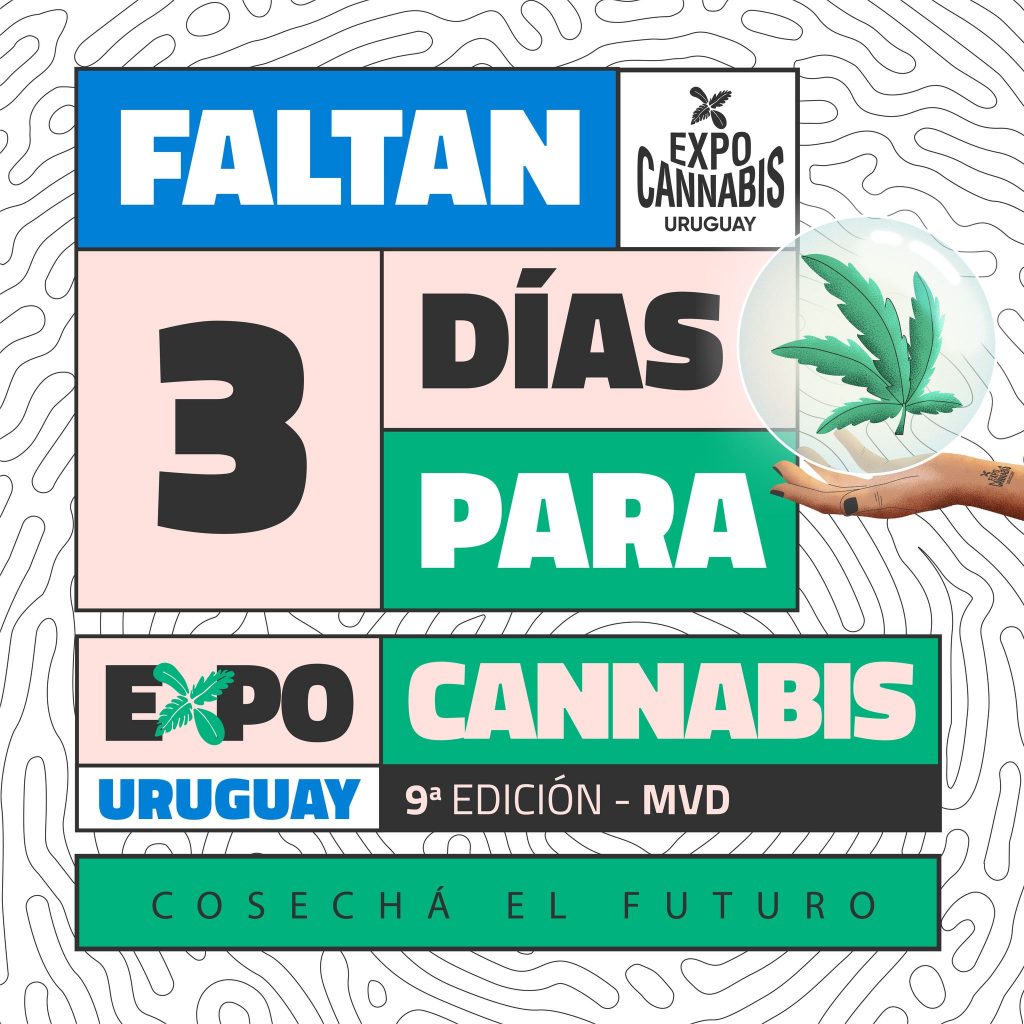 Expo Cannabis Uruguay