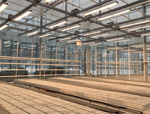 Research greenhouses of the University of Life Sciences in Lublin